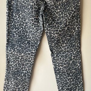 Charlie B New With Tags Animal Print Pants